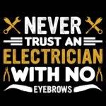 Never Trust An Electrician With No Eyebrows Direct to Film (DTF) Heat Transfer E-1386