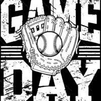 Baseball Game Day Metal Photo F-1423