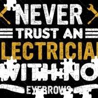 Never Trust An Electrician With No Eyebrows Jigsaw Puzzle E-1386