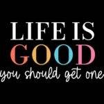 Life Is Good You Should Get One Direct to Film (DTF) Heat Transfer S-1440