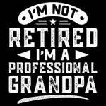 I'm Not Retired I'm A Professional Grandpa Direct to Film (DTF) Heat Transfer F-1504