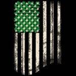 Shamrock American Flag St. Patrick's Day Direct to Film (DTF) Heat Transfer H-1485