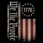 1776 We The People Flag Direct to Film (DTF) Heat Transfer U-1489
