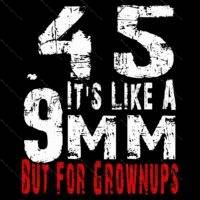 45 It's Like A 9MM Direct to Film (DTF) Heat Transfer N-1539