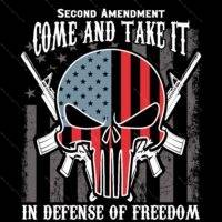 2A Come And Take It Skull Direct to Film (DTF) Heat Transfer N-1542