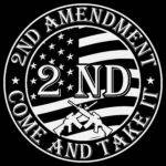Come And Take It 2nd Amendment Direct to Film (DTF) Heat Transfer N-1533
