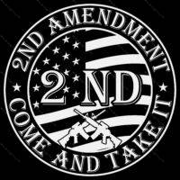 Come And Take It 2nd Amendment Direct to Film (DTF) Heat Transfer N-1533