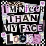 I'm Nicer Than My Face Looks Direct to Film (DTF) Heat Transfer S-1535