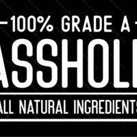 100% Grade A Asshole Metal Photo S-1551