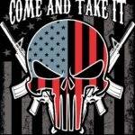 2A Come And Take It Skull Metal Photo N-1542