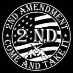 Come And Take It 2nd Amendment Metal Photo N-1533