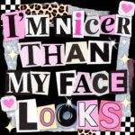 I'm Nicer Than My Face Looks Metal Photo S-1535