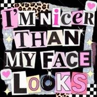 I'm Nicer Than My Face Looks Metal Photo S-1535