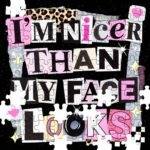 I'm Nicer Than My Face Looks Jigsaw Puzzle S-1535