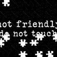 Not Friendly Do Not Touch Jigsaw Puzzle S-1541