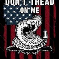 Don't Tread On Me Metal Photo N-1560
