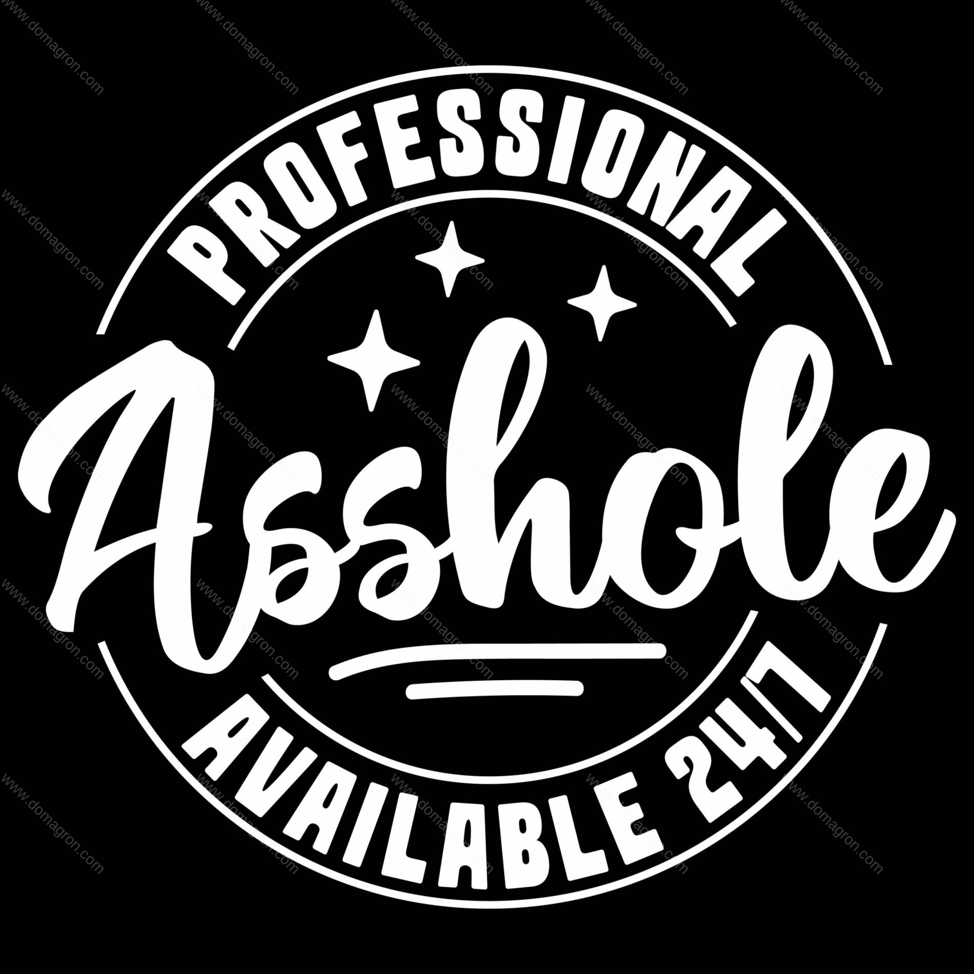 Professional Asshole Sarcastic Direct to Film (DTF) Heat Transfer S-1588
