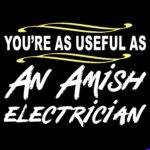 You're As Useful As An Amish Electrician Direct to Film (DTF) Heat Transfer S-1599