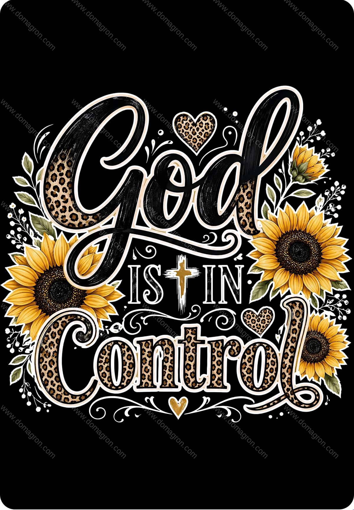 God Is In Control Metal Photo I-1620