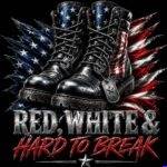 Red White Patriotic Boots Metal Photo U-1597