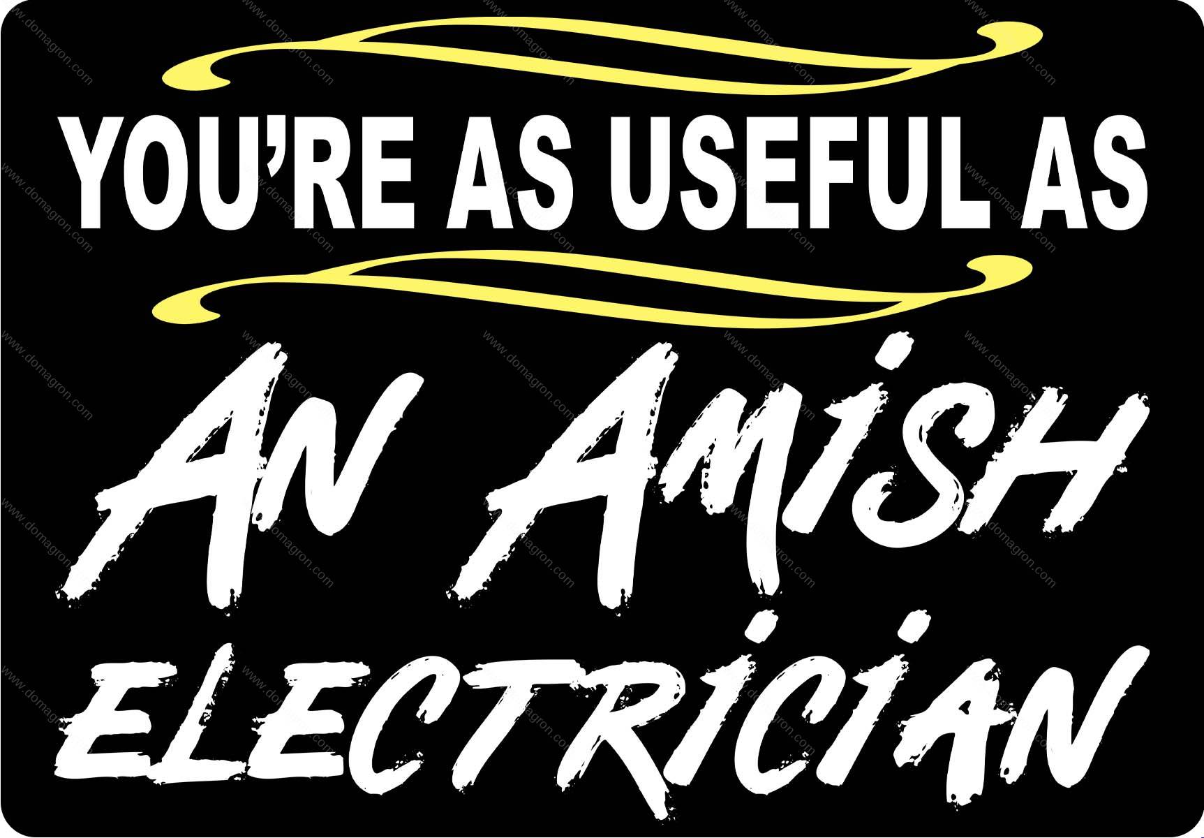 You're As Useful As An Amish Electrician Metal Photo S-1599