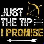 Just The Tip I Promise Snarky Archery Direct to Film (DTF) Heat Transfer S-1626