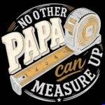 No Other Papa Can Measure Up Direct to Film (DTF) Heat Transfer F-1622