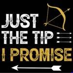 Just The Tip I Promise Snarky Archery Metal Photo S-1626