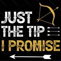 Just The Tip I Promise Snarky Archery Metal Photo S-1626