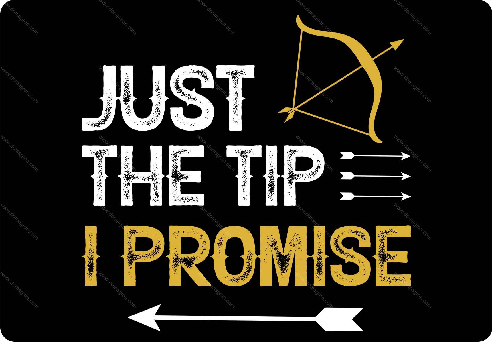 Just The Tip I Promise Snarky Archery Metal Photo S-1626