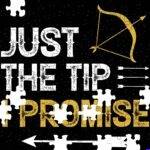 Just The Tip I Promise Snarky Archery Jigsaw Puzzle S-1626