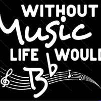 Without Music Life Would Be Flat Metal Photo F-1630
