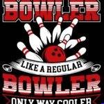 Left Handed Bowler Metal Photo F-1676
