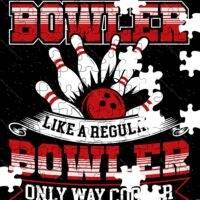 Left Handed Bowler Jigsaw Puzzle F-1676